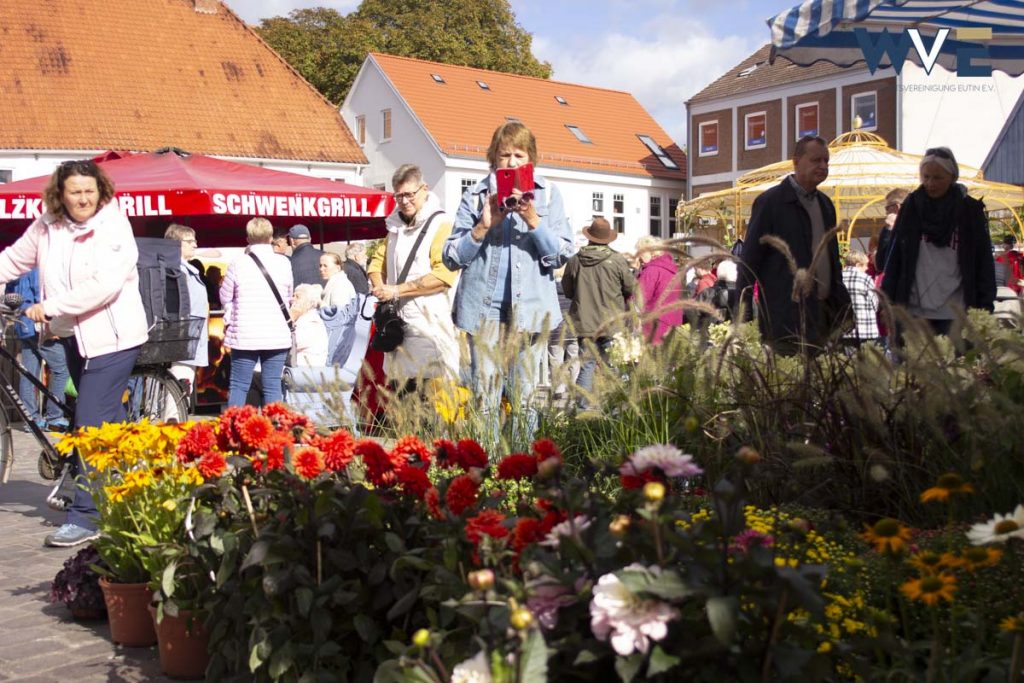 Herbst- und Bauernmarkt Eutin bei strahlendem Sonnenschein, Besucher auf dem Marktplatz, im Hintergrund ein Schwenkgrill, im Vordergrund rote Blumen